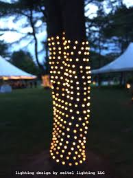 A Tree Trunk Wrapped With Tiny Lights Outdoor Christmas Decorations Outdoor Christmas Lights