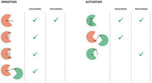 Check spelling or type a new query. Biomolecules April 2020 Browse Articles