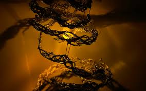 Royal College of Art | Home