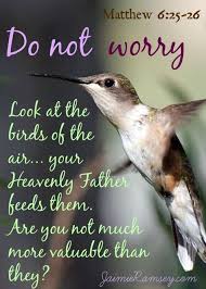 Look At The Birds Of The Air Niv Therefore I Say To You Do Not Worry About Your Life What You Will Eat Or What You Will Drink Nor About Your Body Wh Scripture Verses Biblical Quotes Bible
