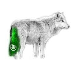 Verein für leibesübungen wolfsburg e. Jovoto Wolf Tail Fan Tastic Fan Articles Vfl Wolfsburg Fussball Gmbh