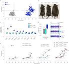 Independent phenotypic plasticity axes define distinct obesity sub ...