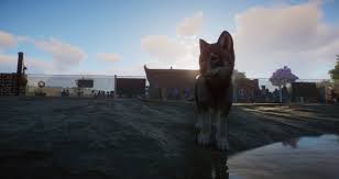 Planet Zoo All Biomes List Biomes Zoo Planets