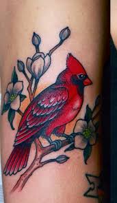 We did not find results for: 17 Red Bird Tattoos Ideas Red Bird Tattoos Red Birds Cardinal Tattoos