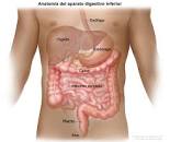Complicaciones gastrointestinales - NCI