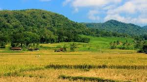 Pemandangan alam tidak ada hentinya untuk selalu memberikan keindahan kepada seluruh makhluk hidup. Detail Gambar 26 Pemandangan Indah Pedesaan Seindah Lukisan Panorama Alam