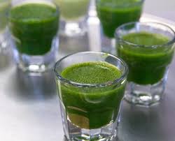 Many nutritional properties get damaged during the process of drying the wheatgrass. Wheatgrass Benefits 50 Doctor Approved Reasons To Drink Every Day