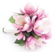 Magnolias are thought to be one of the first flowering plants to evolve on earth. Pin Auf Wedding Bouquets