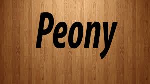 What kind of peony do you put in a vase? How To Pronounce Peony Peony Pronunciation Youtube