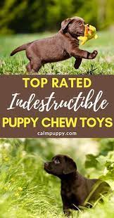 Puppy Chewing Toys That Last Is Your New Puppy Teething These Are The Best Chew Toys For Teething Puppies Puppy Teething Puppy Chew Toys Puppy Toys Teething