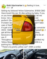 Image result for Yellow 2004 AA