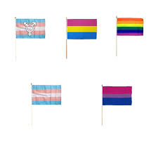 Enjoy more than 10267500005 ways to use this. Buy Rainbow Flag Wood Stick Pride Decoration Cappel S