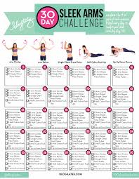 30 Day Sleek Arms Challenge Blogilates