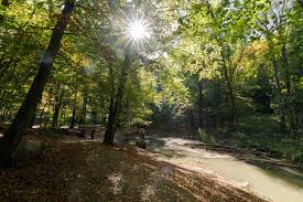 Gaja Gorge Gorge Outdooractive Com