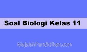 Menjatuhkan sanksi dan hukuman bagi para pelanggaran tham b. Soal Biologi Kelas 11 Sma Smk Ma 2021 Dan Kunci Jawabannya