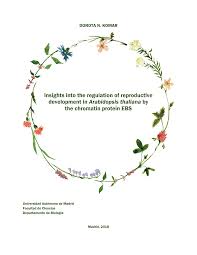 Dominik armenta desnuda