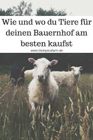 Wie Du Fur Deinen Bauernhof Tiere Kaufst Und Dabei Hilfst Bauernhof Tiere Ausgestopftes Tier Bauernhof