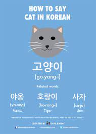 How To Say Cat In Korean Korean Words Korean Language Learn Basic Korean