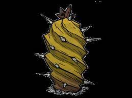 Depending on what type it is, wearing armor while harvesting a cactus can reduce damage how to stay sane in don't starve together (dst) sanity loss and getting killed from the. Don T Starve Elephant Cactus Meta General Uses Youtube