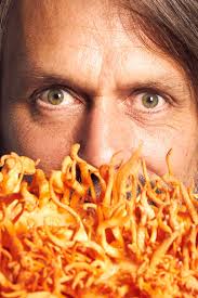 Jake Plummer: Quarterback Option