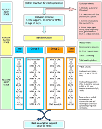 study flow chart and pathway detailed study design and