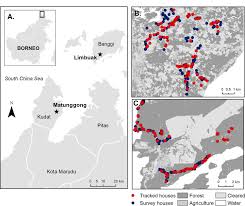 Inside you'll learn just how mysterious this all is, as we reveal the different no spam, we promise. Local Human Movement Patterns And Land Use Impact Exposure To Zoonotic Malaria In Malaysian Borneo Elife