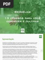 Image result for Eriocaulon angustibracteatum