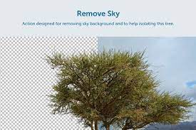 Background Removal Tools Remove White Background Background Photoshop