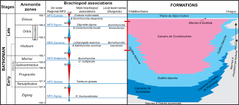 Repr�sente une monnaie dans une �conomie. Giant Subaqueous Carbonate Dunes A Revised Interpretation Of Large Scale Oo Bioclastic Clinoforms In The Middle Jurassic Of The Paris Basin And Its Implications Springerlink