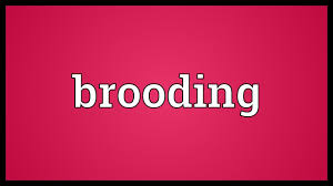 Influence or urge by gentle urging, caressing, or flattering. Despondent Meaning By Sdictionary