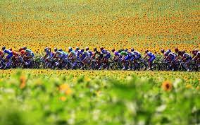 Pro cycling manager 2021 (pc). Tour De France 2021 Pc Wallpapers Wallpaper Cave