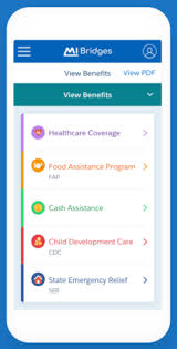 How do i get food with snap benefits and bridge cards during the coronavirus pandemic? Michigan Ebt Card 2021 Guide Food Stamps Ebt