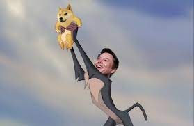 Dogecoin is the people's crypto, musk wrote. Elon Musk Is Back Tweeting About Dogecoin As Price Rises 50 Coindesk