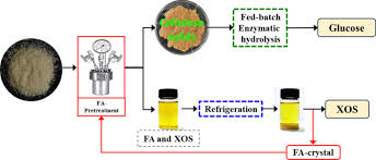 It is a cooperative effort of federal, state, and local environmental regulatory agencies established to protect water quality. A Novel Recyclable Furoic Acid Assisted Pretreatment For Sugarcane Bagasse Biorefinery In Co Production Of Xylooligosaccharides And Glucose Biotechnology For Biofuels Full Text