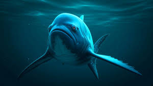 Andreamolina desnuda Yanina molina pictures and videos on