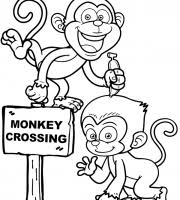 Tv show & films coloring pages Top Monkey Coloring Pages For Your Little Ones Coloring Pages