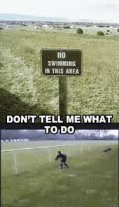 Feel free to chat with us if you want to customize any product. You Can T Tell Me What To Do Gifs Tenor