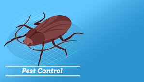 If i see a bug, i simply call and they come out and kill 'em! Home Certified Pest Solutionscertified Pest Solutions