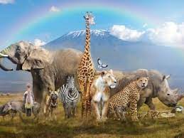 But when it comes to these extinct animals, we have to admit: Animals Facts Pictures And Resources Az Animals
