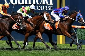 Get updates on adelaide international by subscribing to the official email newsletter. Adelaide Cup Day 2020 Tips Horse Racing Tips Selections Will Sansom Run Them Ragged