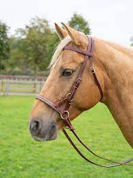Sidepull hoofdstel sidepull bridle handmade. Busse Reitsport Sidepull Russet Wildhorn Exclusive By Busse