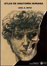 Un estudiante de medicina de la UNLP presenta su propio atlas de anatomía  humana