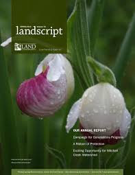 The way she plays with shape and texture really blows me away and i especially like her use of fruit and berries. 2019 Spring Landscript Annual Report By Gtrlc Issuu