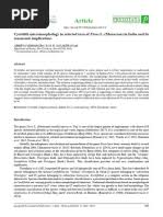 Image result for Allophylus fulvotomentosus