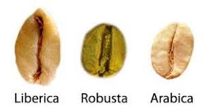 Recienmolido Com On Twitter Coffee Varieties Coffee Meets Bagel Coffee Beans