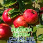 Binance is the world's largest cryptocurrency exchange in the world with over 200 altcoins to buy/sell and trade in canada against fiat currencies and stablecoins. Newton Review Canada S Best Up And Coming Crypto Exchange