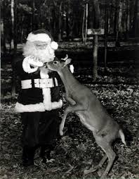 Emailsanta.com says just 137 sleeps, 17 hours, 41 minutes & 29 seconds to christmas! Santa Claus With Young Reindeer Amerikanischer Nikolaus By Hoppe Emil Otto Archive 1950 Photograph Shapero Rare Books