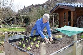 The soil in your raised beds will break down over time; Ready To Use Soil Mixes For Raised Garden Beds It S All About The Right Mix Ggs