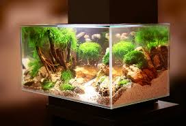 Buying an aquarium for a child or teen. 125 Gallon Aquarium Our Top 3 Choices For The Money