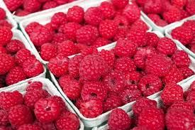 Raspberries How To Plant Grow And Harvest Raspberries The Old Farmer S Almanac